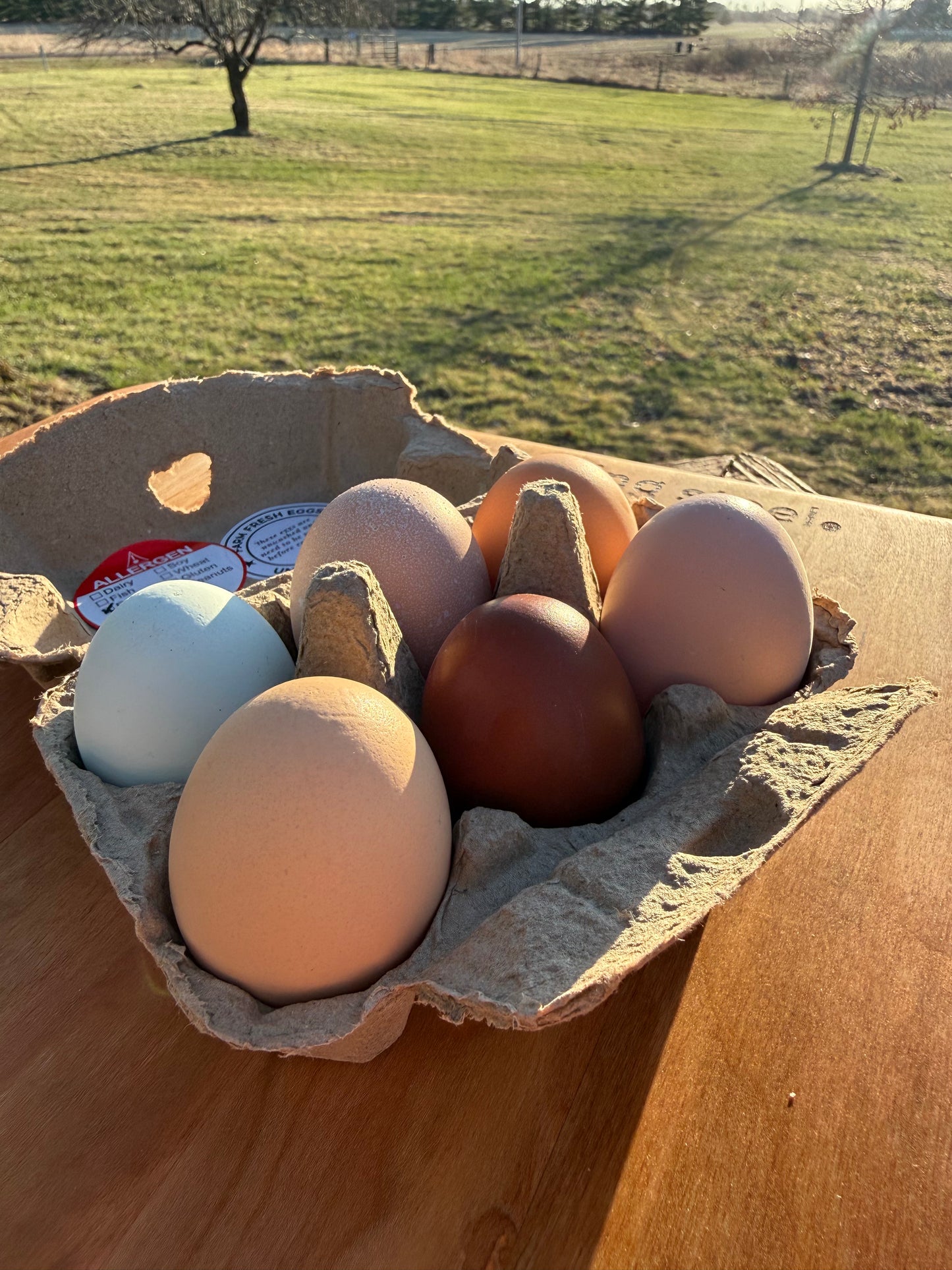 Eggs- half dozen (6)