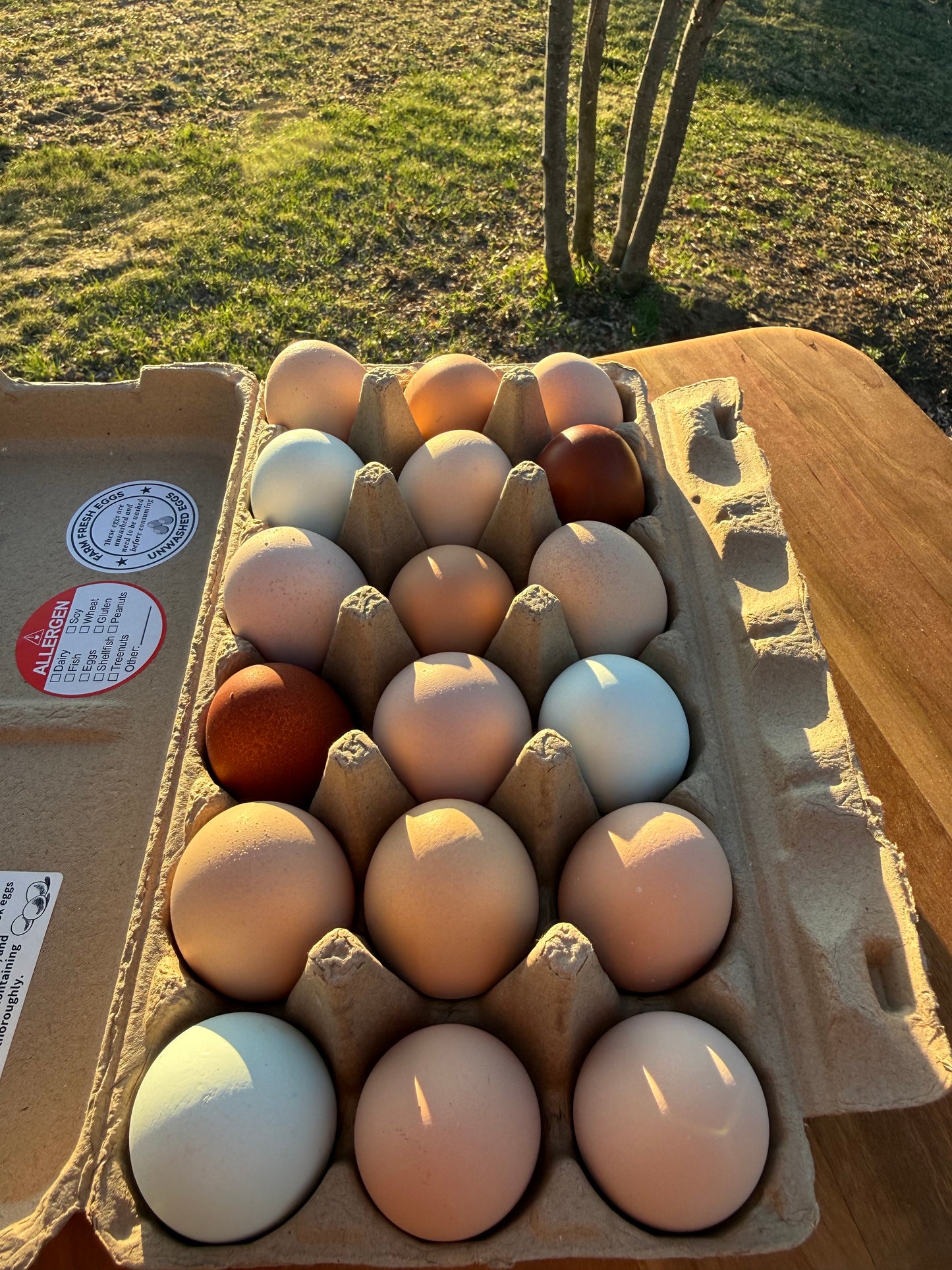 Eggs- (18)count