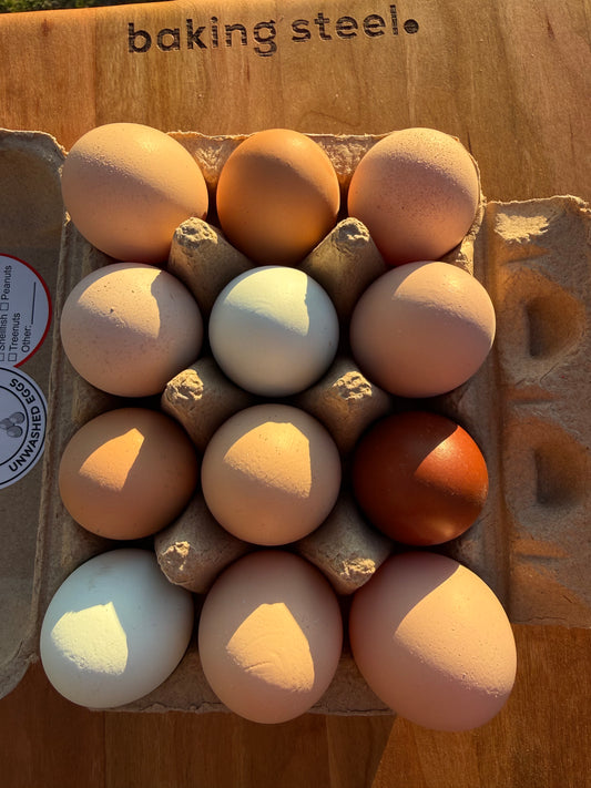 Eggs- 1 dozen (12)